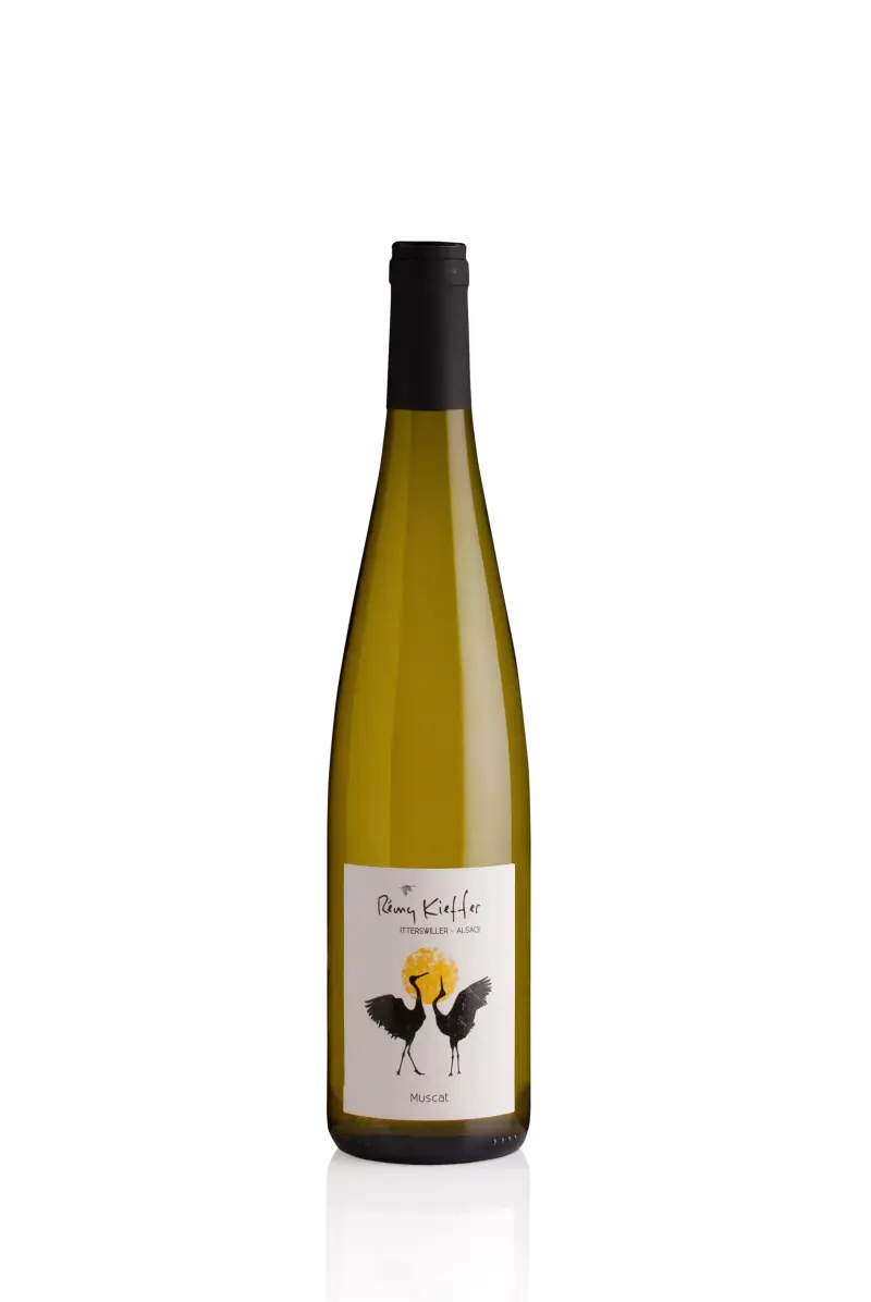 visuel bouteille